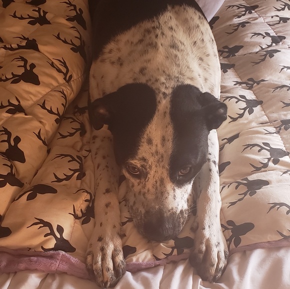 Meet your Posher, Kari - Picture 2 of 6